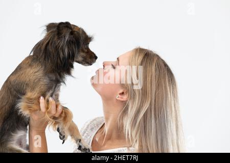 La fille tient le chien dans ses bras et veut l'embrasser sur sa bouche.Portrait d'une femme avec un chien.Chien de race multiple. Banque D'Images