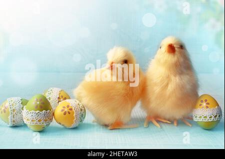 Composition de Pâques avec œufs de Pâques colorés, poussins sur fond bleu.Concept de Pâques. Banque D'Images