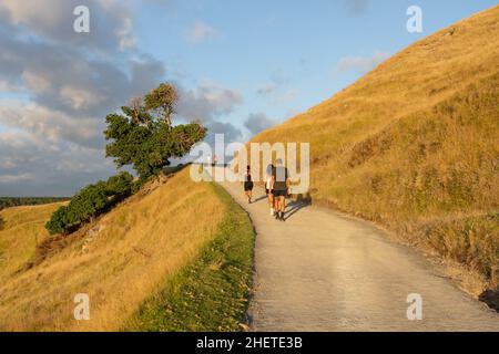 Tauranga Nouvelle-Zélande - janvier 12 2022: Les gens marchent en haut de la longue pente sur le mont Maunganui passé l'arbre vers le sommet. Banque D'Images