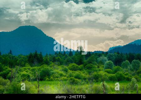 prairie verte avant-arrière en face de la montagne avec ciel nuageux Banque D'Images