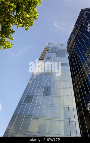 Vue à angle bas de la façade extérieure d'un gratte-ciel moderne aux parois de verre, qui donne sur le ciel bleu, au-delà des feuilles vertes d'un arbre Banque D'Images