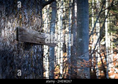 le vieux panneau de direction en bois guide la manière de jeter la forêt en automne Banque D'Images