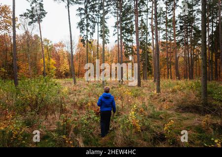 Garçon en blouson bleu dans la forêt dans le paysage d'automne Banque D'Images