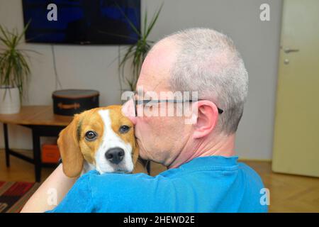 Portrait d'un homme tenant un chien de beagle mignon.POV du propriétaire de chien heureux tenant le chien de beagle de chiot dans ses bras Banque D'Images