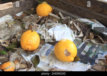 Certains Lemons ont abandonné les activités traditionnelles du marché en Indonésie Banque D'Images