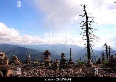 Pins séchés et plusieurs petites pyramides en pierre au sommet d'une haute montagne surplombant la chaîne de montagnes.Mont Kokuya, Altaï, Sibérie, Russie. Banque D'Images