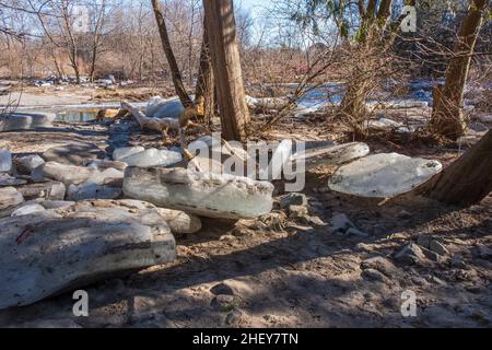 Orono Crown Land conservation Area Ontario Canada en hiver Banque D'Images