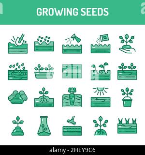 Jeu d'icônes de la ligne de couleur des grains en croissance. Pictogrammes pour la page Web, l'application mobile, la promotion. Élément de conception UI/UX/GUI. Contour modifiable. Illustration de Vecteur