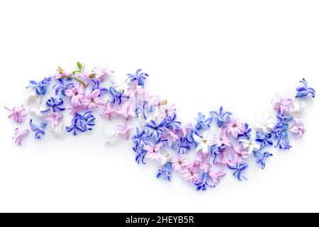 Composition des fleurs.Motif composé de fleurs de jacinthe multicolores sur fond blanc.Flat lay, vue de dessus, espace de copie Banque D'Images
