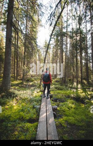 Vue d'un homme cultivé marchant dans la forêt sur un caillebotis dans le parc national de Hiidenportti, Sotkamo, région de kainuu en Finlande.Beauté du biod finlandais Banque D'Images