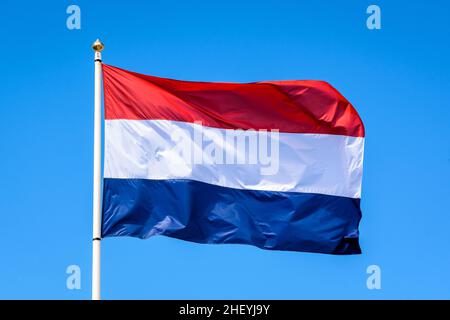 Le drapeau national des pays-Bas vole dans le vent en mât complet contre le ciel bleu. Banque D'Images