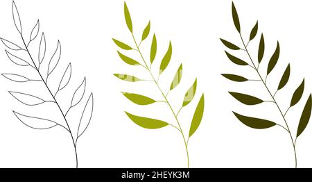 Un ensemble de branches et de tiges de fleurs vertes, plantes d'extérieur. Illustration de Vecteur