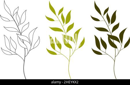 Un ensemble de trois branches et de tiges de fleurs vertes. Illustration de Vecteur