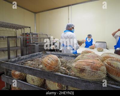 Travailleur spécialisé couture et finition des coupes à froid de culatello, de coppa et de prosciutto dans l'usine de fabrication de produits délicats de Parme en Italie Banque D'Images