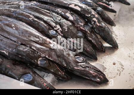 Espada pretta, poisson noir de sbarde  Madère Banque D'Images