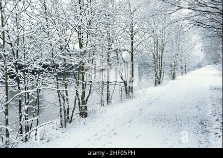 Arbres et passerelle couverts de neige, sentier de la Tamise en hiver Kew West London UK. Banque D'Images