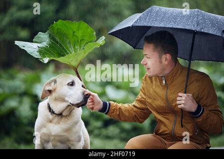 Homme avec chien sous la pluie.Propriétaire d'animal de compagnie tenant un parapluie et une feuille de terrier au-dessus de son triste Labrador retriever. Banque D'Images