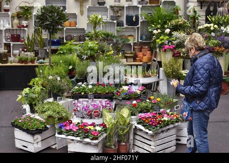 Fleuriste à Borough Market, Southwark, Londres, Royaume-Uni. Banque D'Images
