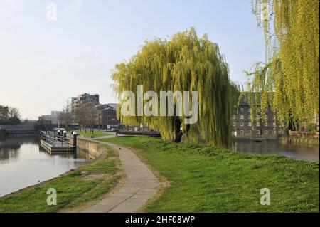 Promenade River Lea avec saules et trois maisons Mills à Newham est de Londres. Banque D'Images