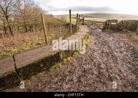 Réservoir Grimwith près de Grassington.L'extrémité ouest du mur du barrage périphérique du réservoir. Banque D'Images