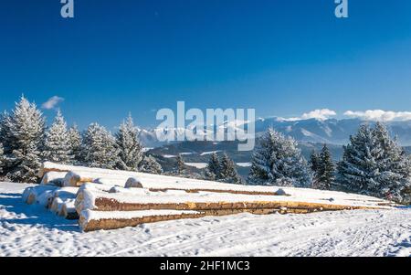 Paysage enneigé par temps ensoleillé.Premier plan avec tas de bois provenant d'arbres coupés stockés sur un pré enneigé.Montagnes enneigées en arrière-plan. Banque D'Images