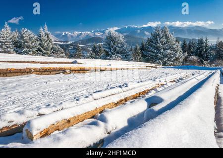 Paysage enneigé par temps ensoleillé.Premier plan avec tas de bois provenant d'arbres coupés stockés sur un pré enneigé.Montagnes enneigées en arrière-plan. Banque D'Images