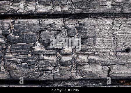 Détails d'un panneau en bois charré en gros plan.La texture du tableau charré. Banque D'Images