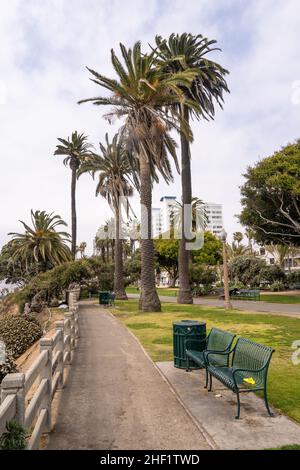 Palisades Park est un parc de 26,4 hectares (10,7 ha) à Santa Monica, Californie.Le parc est situé le long d'une section de 1,6 km (2,6 miles) d'Ocean Avenue sur le dessus Banque D'Images