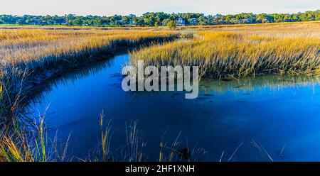 House Creek et Salt Grass of Cherry Grove Marsh, Heritage nature Preserve, Myrtle Beach, Caroline du Sud, États-Unis Banque D'Images