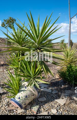 Communauté jardin paysagé à Camposol, région de Murcia, Costa Calida, Espagne.Une ville populaire avec les anciens pats britanniques.Régime volontaire du secteur C. Banque D'Images