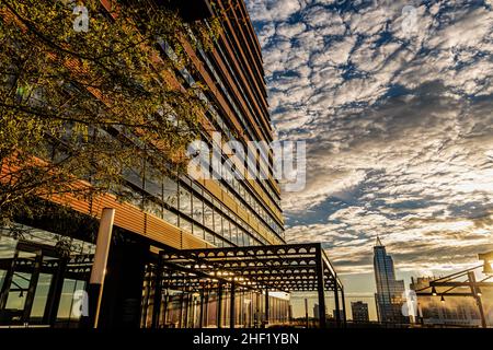 Rooftop Terrace Bar dans le centre-ville, Raleigh, Caroline du Nord, États-Unis Banque D'Images