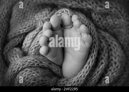 Le pied minuscule d'un nouveau-né pieds doux d'un nouveau-né dans une couverture en laine Banque D'Images