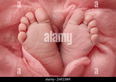 Le pied minuscule d'un nouveau-né.Pieds doux d'un nouveau-né dans une couverture rose. Banque D'Images