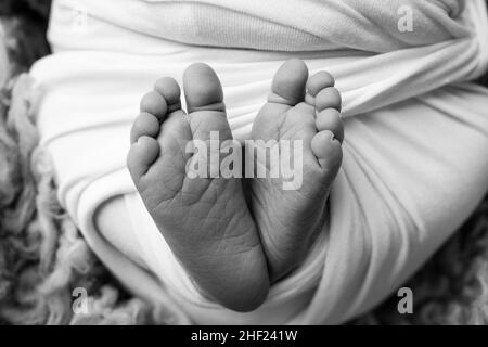 Le pied minuscule d'un nouveau-né.Pieds doux d'un nouveau-né dans une couverture. Banque D'Images