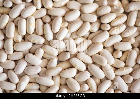 Fond de haricots blancs ou de haricots de marine, légume séché sain et rempli de vitamines, minéraux, fibres et antioxydants, et largement utilisé, trempé et cuit Banque D'Images