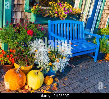 un banc bleu parmi les décorations et les fleurs d'automne accueille les gens dans une boutique Banque D'Images