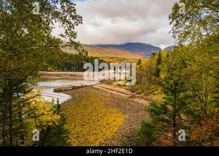 Vue sur Otter Cove à marée basse en automne, parc national Acadia Banque D'Images