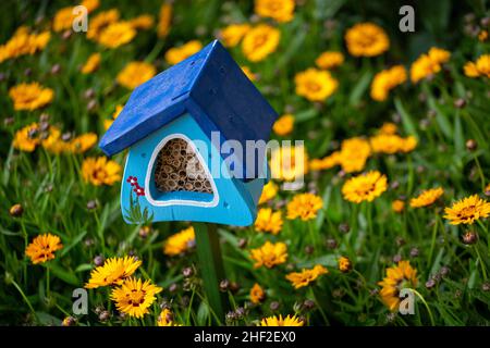 Un petit hôtel d'insectes au milieu d'un lit de fleurs Banque D'Images