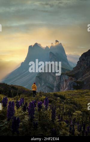 Seceda dans les Dolomites, en Italie, au lever du soleil, a été post-traité en utilisant le bracketing de l'exposition Banque D'Images