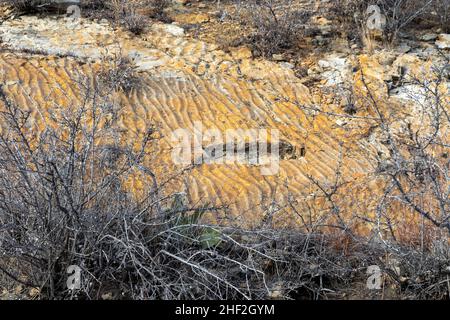 Morrison, Colorado - traces d'ondulation des vagues dans le grès de Dinosaur Ridge.Les marques d'ondulation ont été laissées il y a 100 millions d'années quand la région était une plage. Banque D'Images