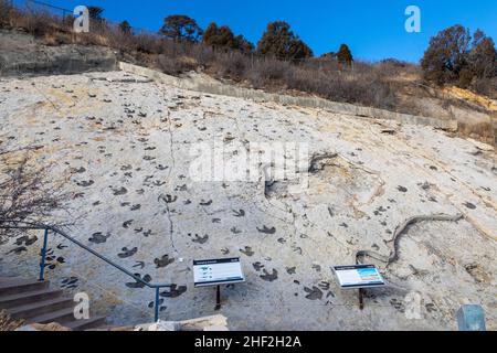 Morrison, Colorado - Dinosaur Ridge.Les visiteurs peuvent voir des centaines de empreintes de dinosaures le long de la crête, juste à l'ouest de Denver.Les pistes de bec de canard Banque D'Images