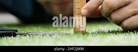 Perfectionniste mesurer l'herbe parfaite.Obsédé méticuleux et compulsif Banque D'Images