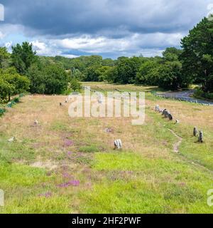 Carnac en Bretagne, un champ de pierres, alignement des menhirs Banque D'Images