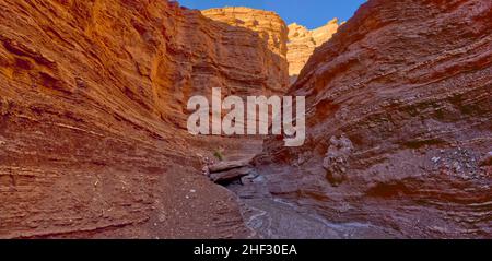 Upper Cathedral Wash dans la zone de loisirs de Glen Canyon Arizona.Ce chemin mène aux falaises de Vermilion. Banque D'Images