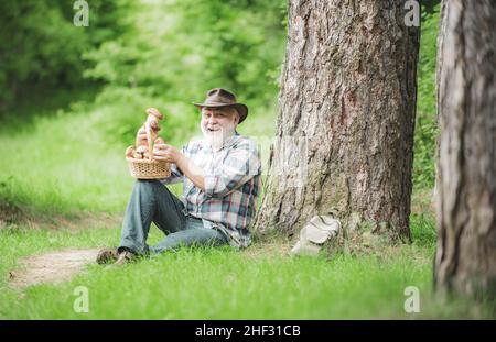 Homme heureux tenant un champignon fraîchement cueilli.Cueillette de champignons sauvages.Grand-père avec panier de champignons et une expression faciale surprise. Banque D'Images