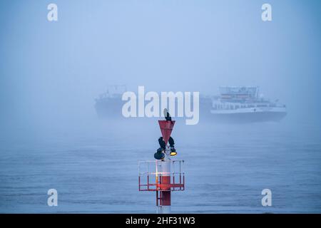 Brouillard dense, Rhin près de DŸsseldorf, cargo se dirigeant vers le sud, très faible visibilité, panneaux de navigation avec la sauvagine, NRW, Allemagne Banque D'Images