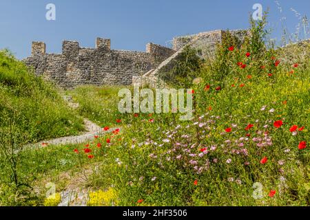 Forteresse de Blagaj (Stjepan-grad) près de Mostar, Bosnie-Herzégovine Banque D'Images
