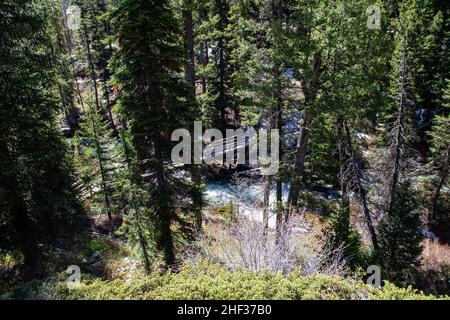 Pont sur Jenny Lake Trail sur le chemin de inspiration point qui surplombe Jenny Lake dans le parc national de Grand Tetons, Wyoming, horizontal Banque D'Images