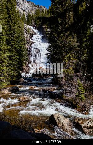 Hidden Falls sur Cascade Creek, parc national de Grand Teton, Jackson Hole, Wyoming au printemps, vertical Banque D'Images