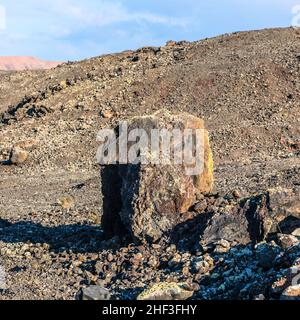 Bombe volcanique en face du volcan Montana Colorada à Lanzarote, îles Canaries, Espagne Banque D'Images